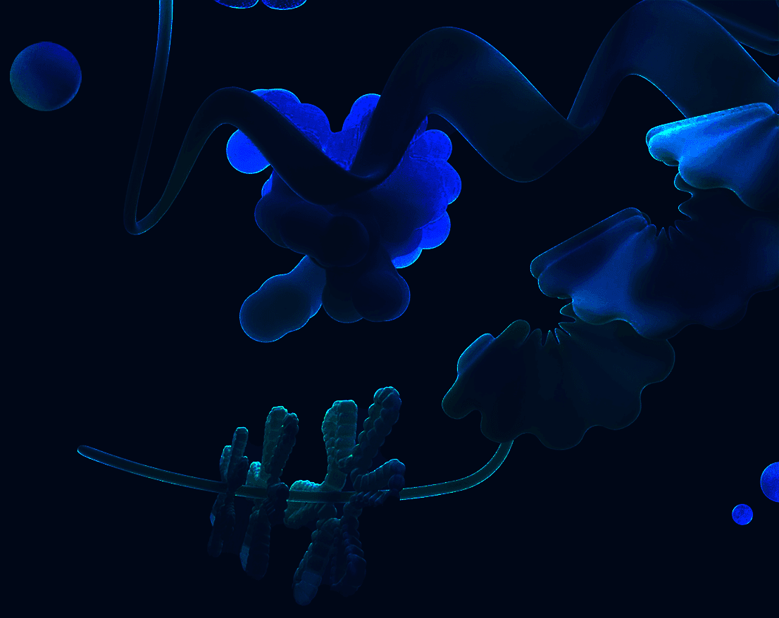 IP Tokens Banner
