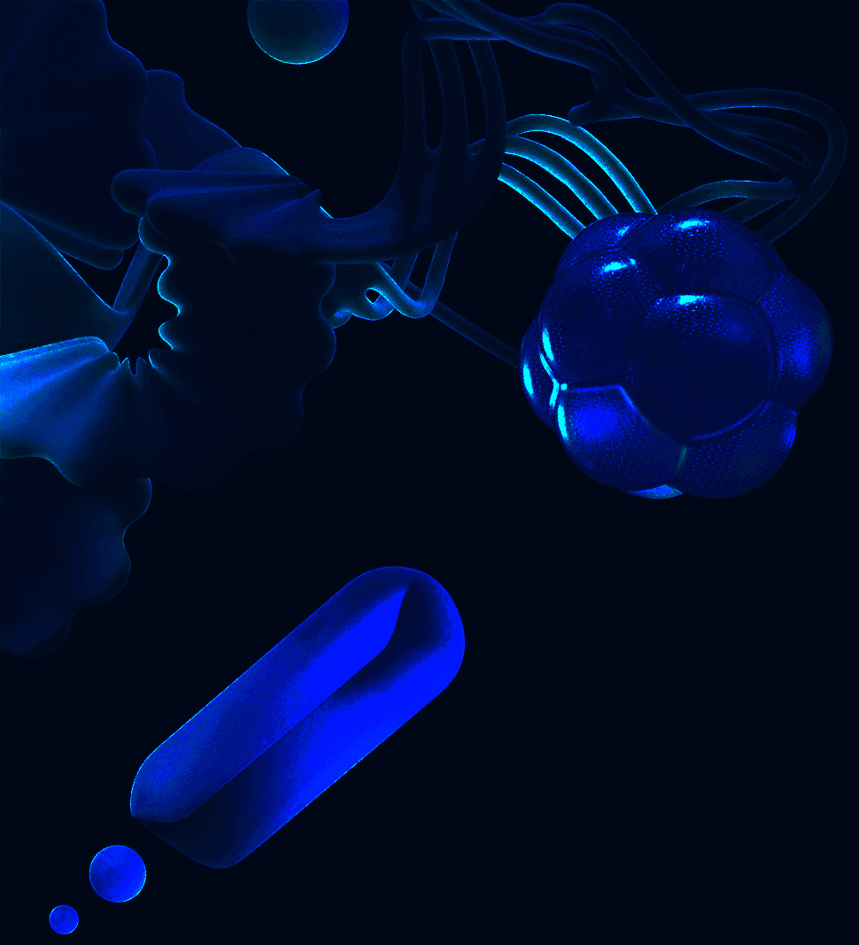 IP Tokens Banner