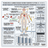 ION-WIND: High-Voltage Ionic System for Biological Regeneration token image