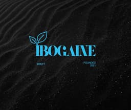 Spectruth Dao’s Proprietary Synthetic Ibogaine Process Patent: Pioneering Sustainable Solutions for Trauma Healing token image