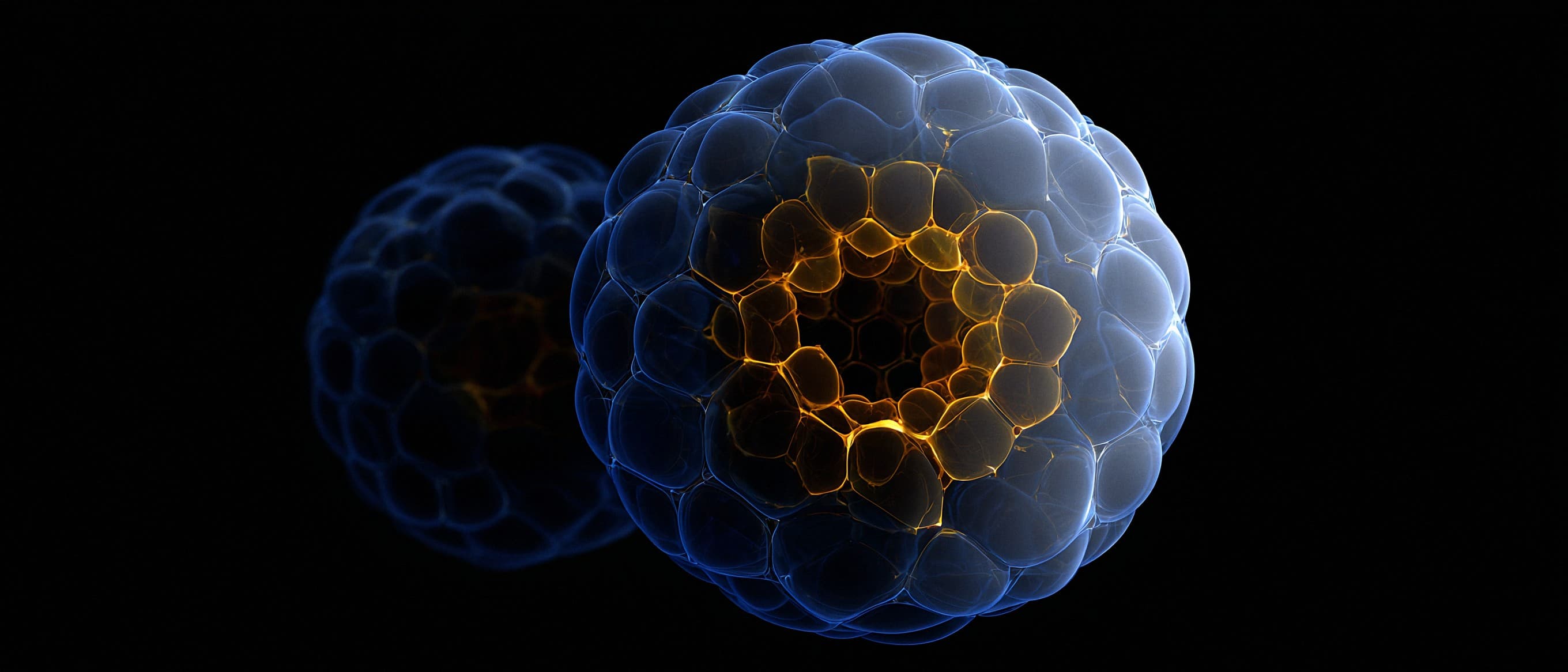 Microbiome-Derived Metabolites, NAD+ Precursors, and Rapamycin in Cellular Senescence: A Gut-Mitochondrial-mTOR Axis Approach