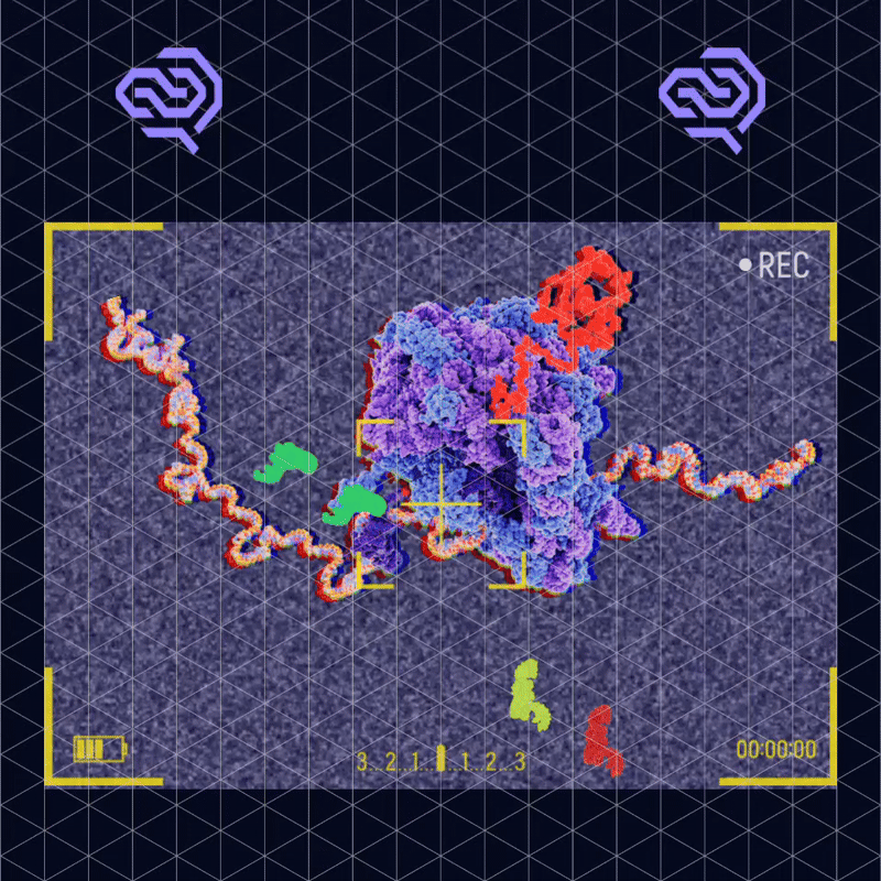 FIDEL token image