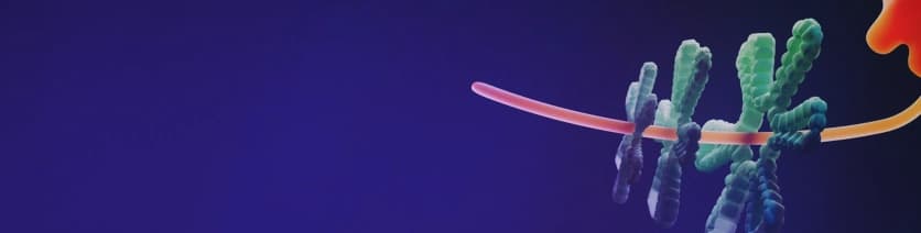 IPTS MARKET CAP background