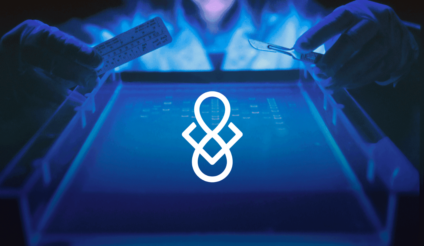 Molecule and the Search for Longevity Therapeutics