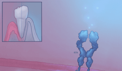 Molecule’s first IP-NFT for drug discovery R&D in the United States